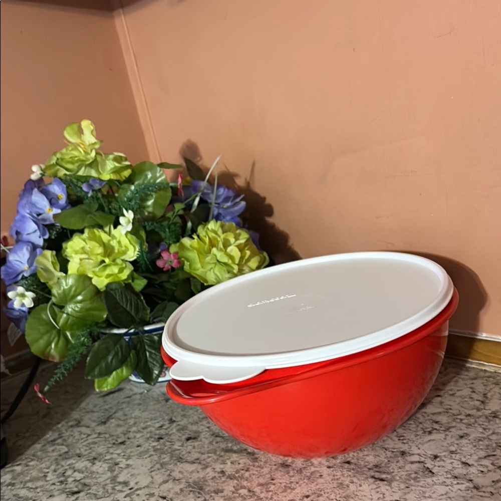 Red Mixing Bowl with Lid
